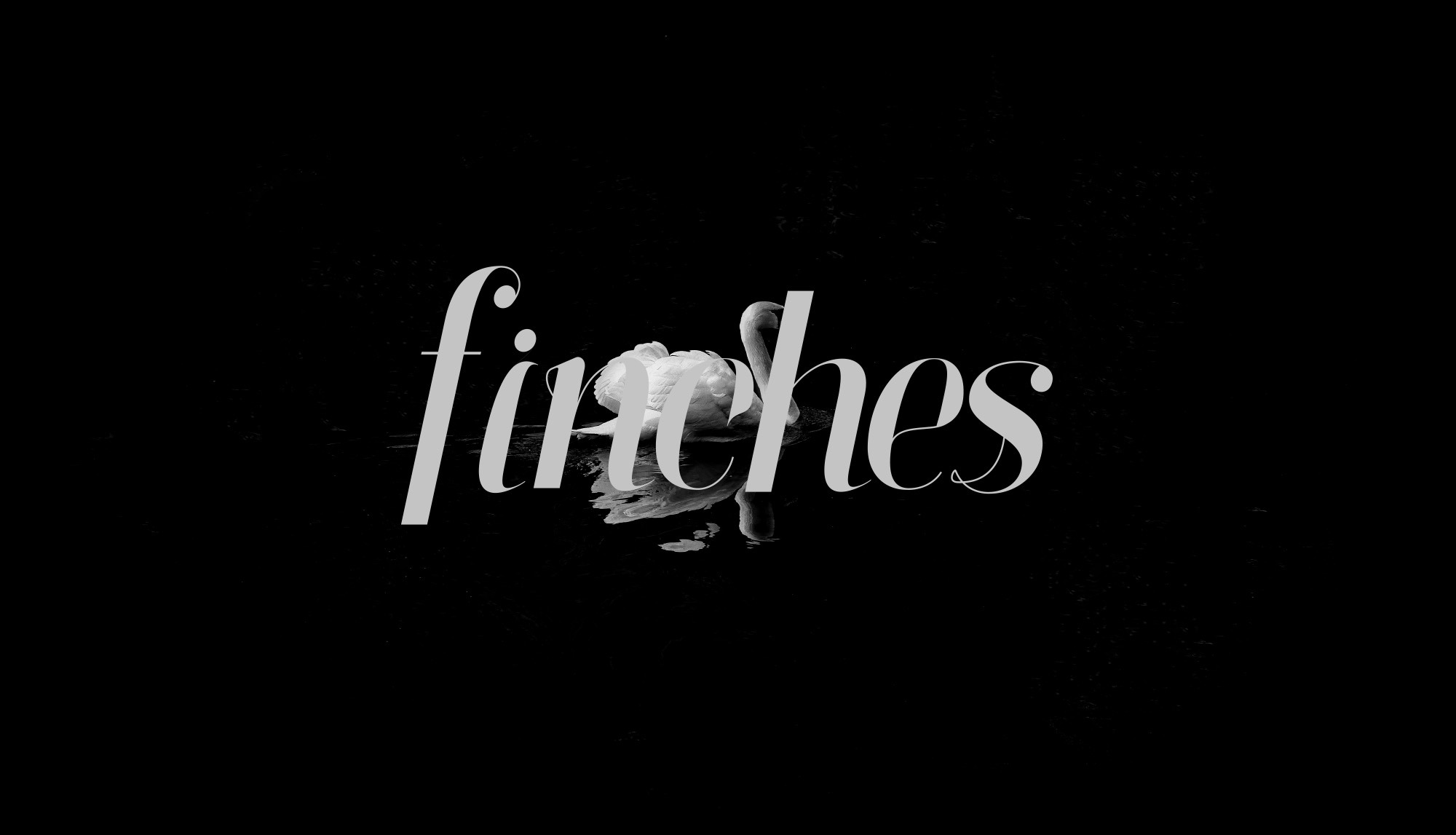 Пример шрифта Finches #1