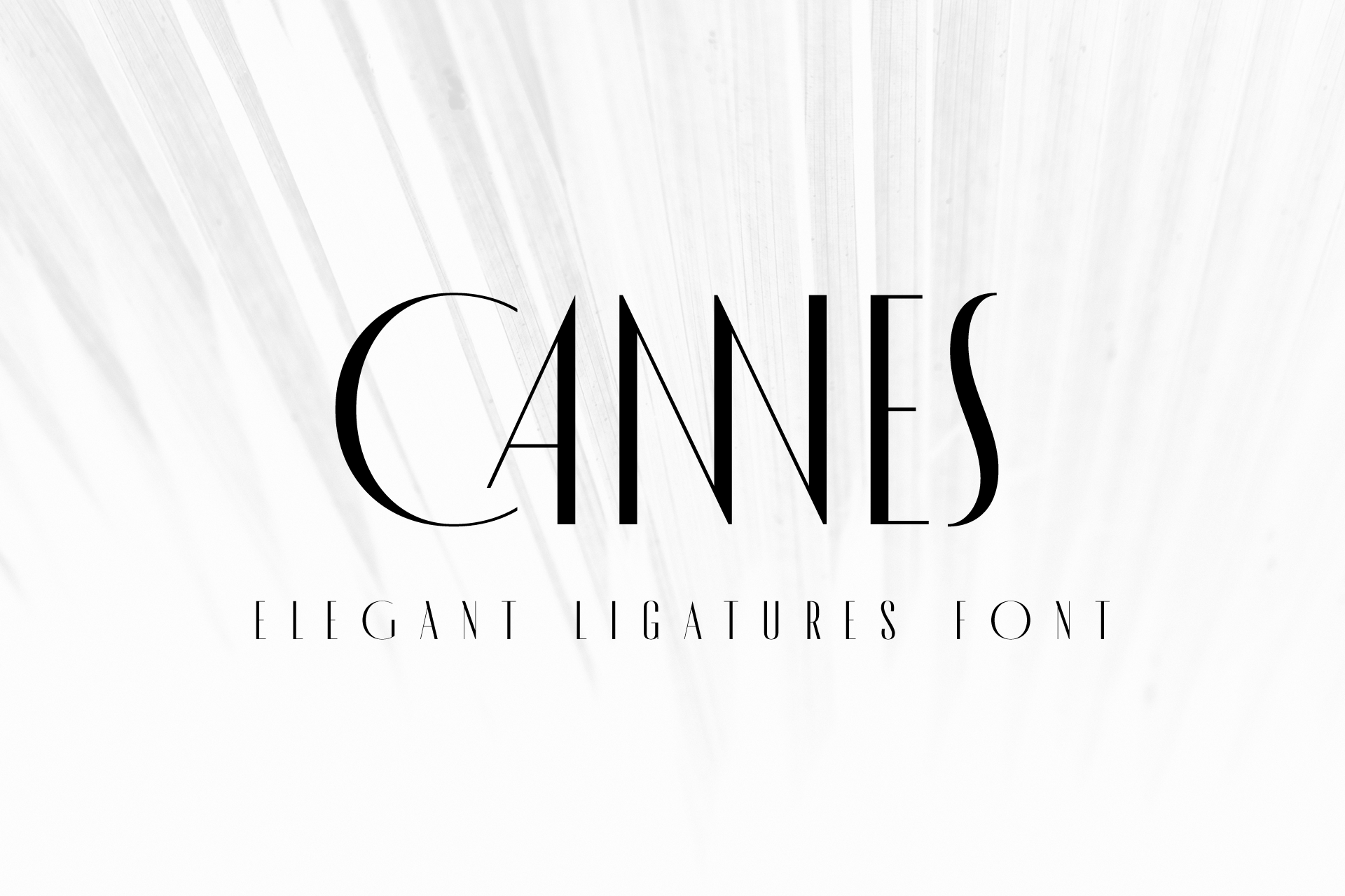 Пример шрифта MADE Cannes #1