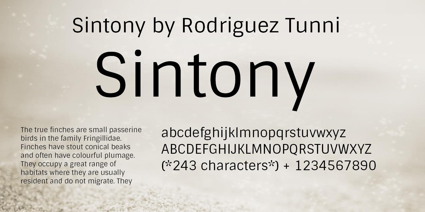 Пример шрифта Sintony #1