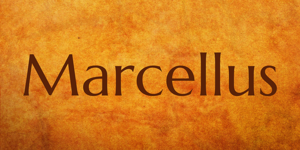 Пример шрифта Marcellus #1
