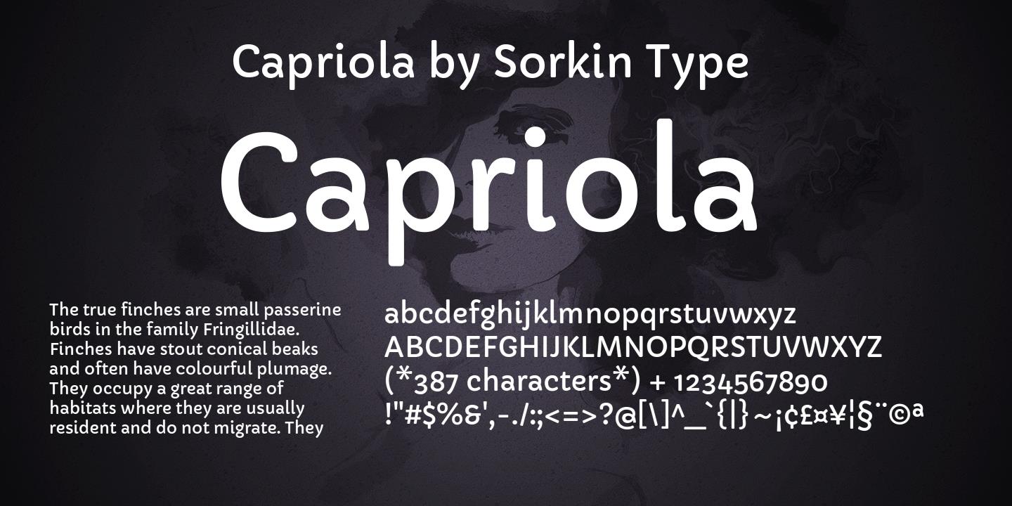 Пример шрифта Capriola #1
