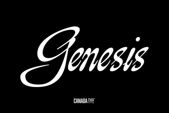 Пример шрифта Genesis Sans #1
