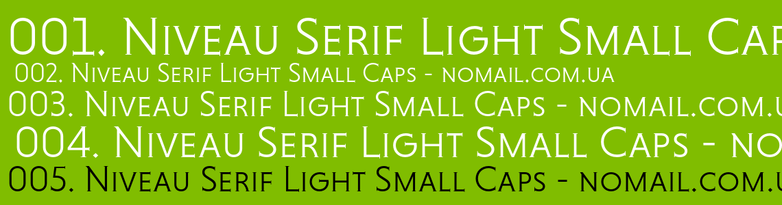 Пример шрифта Niveau Serif #1