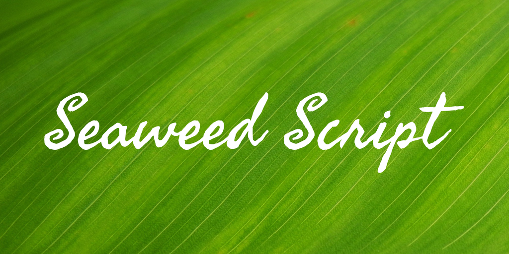 Пример шрифта Seaweed Script #1