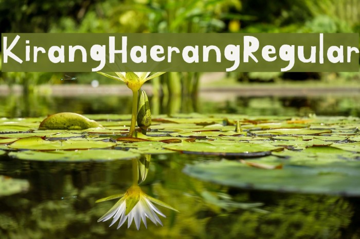 Пример шрифта Kirang Haerang #1