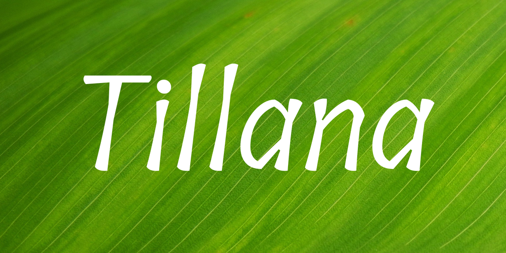 Пример шрифта Tillana #1