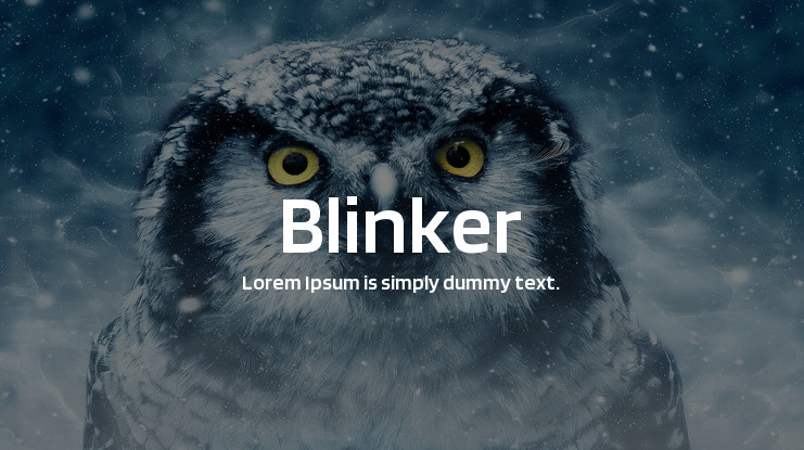 Пример шрифта Blinker #1