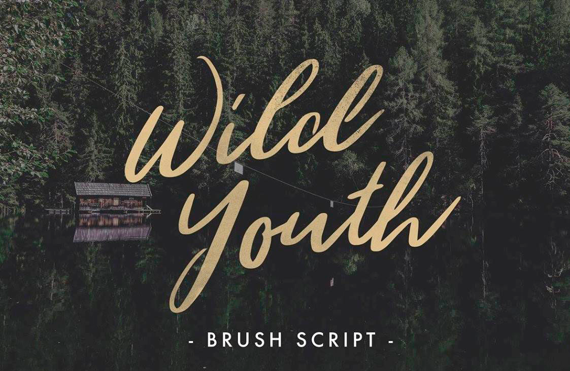 Пример шрифта Wild Youth #1