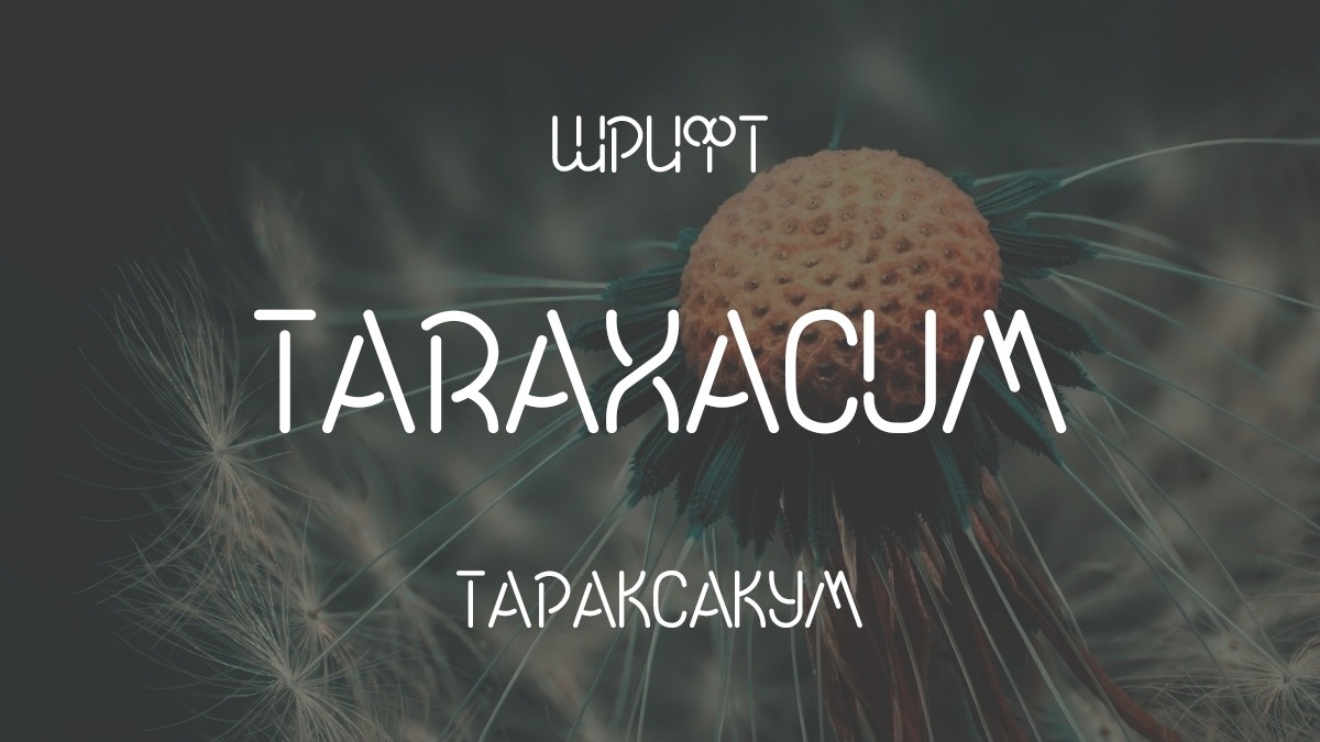 Пример шрифта Taraxacum #1