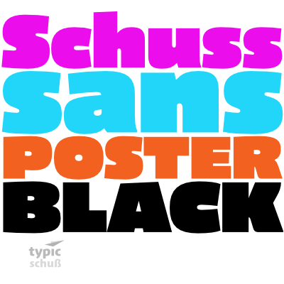 Пример шрифта Schuss Sans CG Poster #1