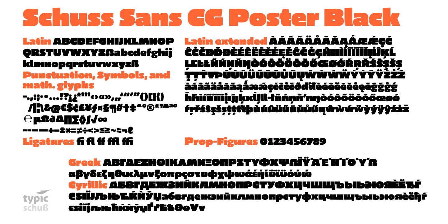 Пример шрифта Schuss Sans CG Poster #12