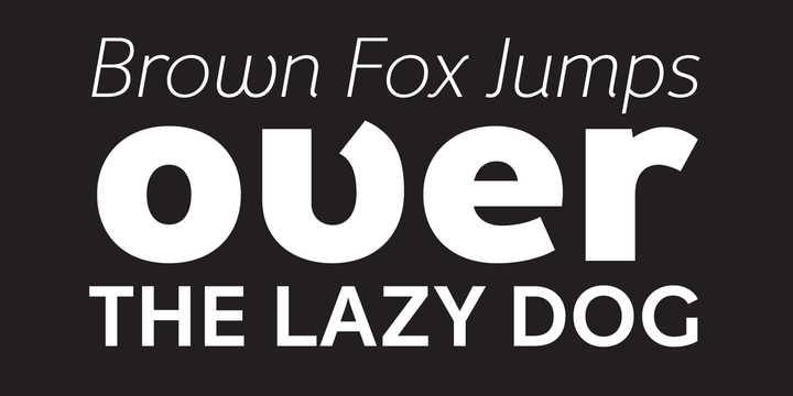 Пример шрифта Fox Grotesque Pro #5