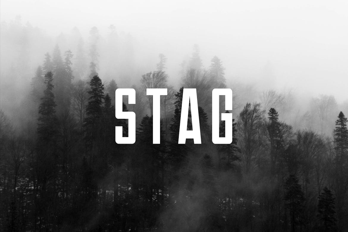 Пример шрифта Stag #1