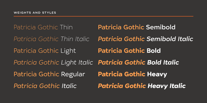 Пример шрифта Patricia Gothic #5