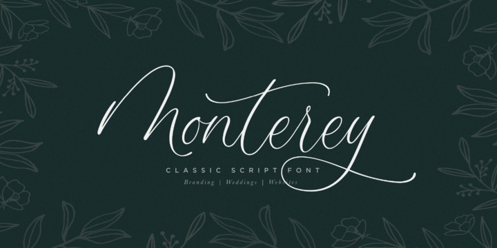 Пример шрифта Monterey Script #1