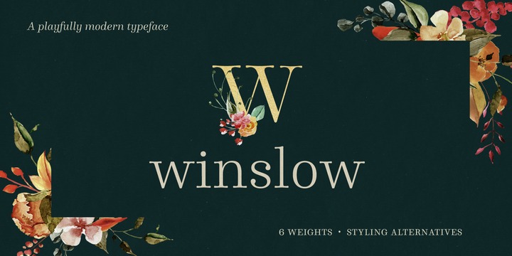 Пример шрифта Winslow Book #1