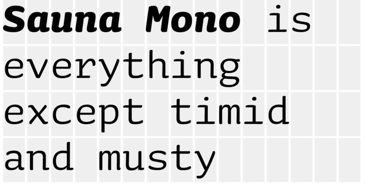 Пример шрифта Sauna Mono Pro #2