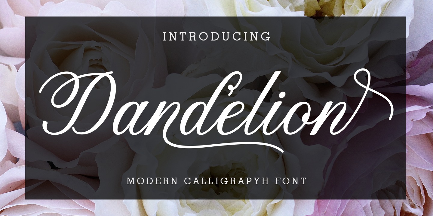Пример шрифта Dandelion Script #1