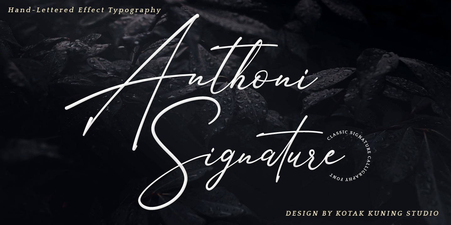 Пример шрифта Anthoni Signature #1