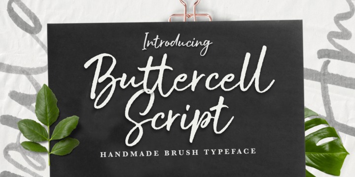Пример шрифта Buttercell Script #1