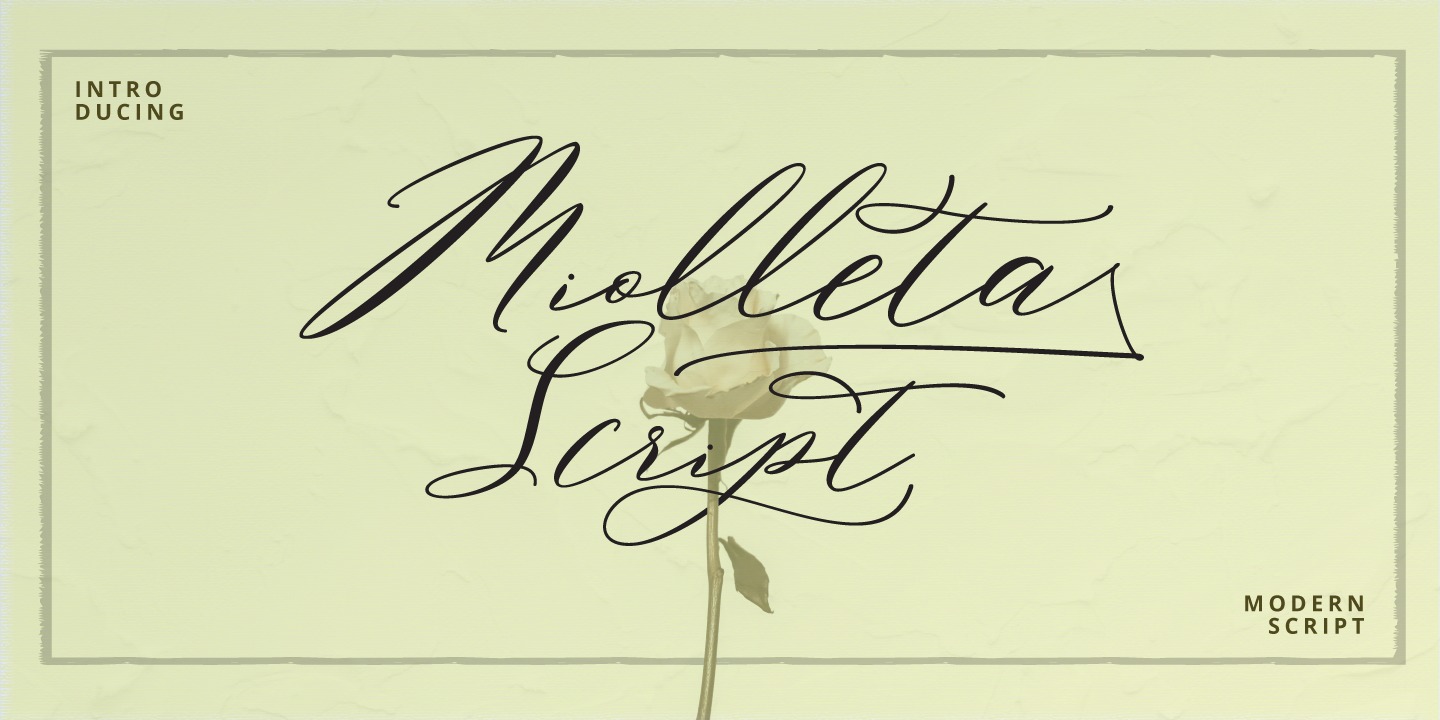 Пример шрифта Miolleta Script #1