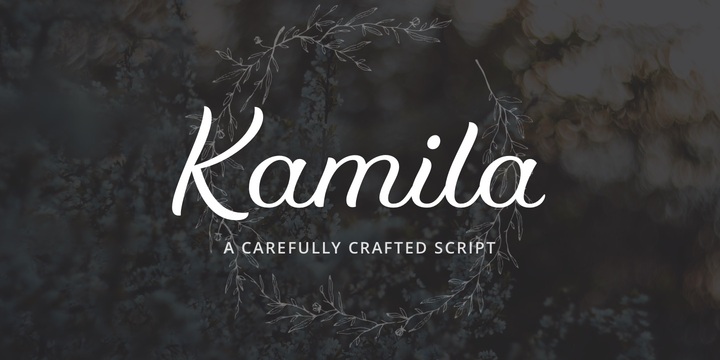 Пример шрифта Kamila #1