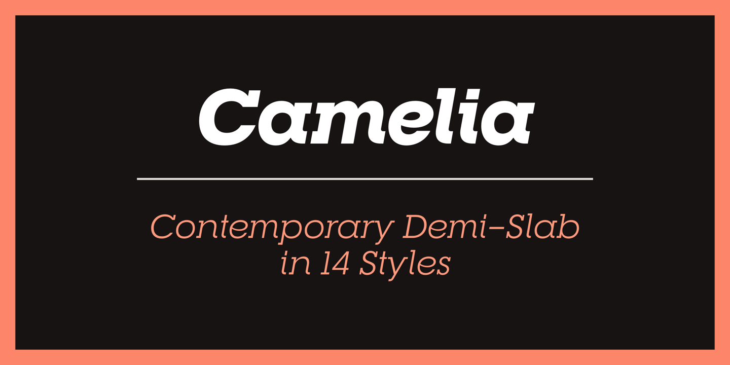 Пример шрифта RNS Camelia #1