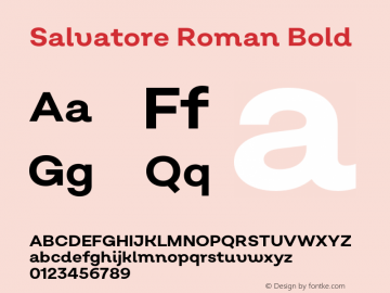 Пример шрифта Salvatore Roman #1