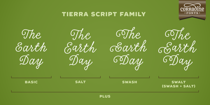 Пример шрифта Tierra Script #2