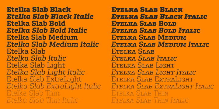 Пример шрифта Etelka Slab #2
