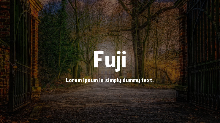 Пример шрифта Fuji #1