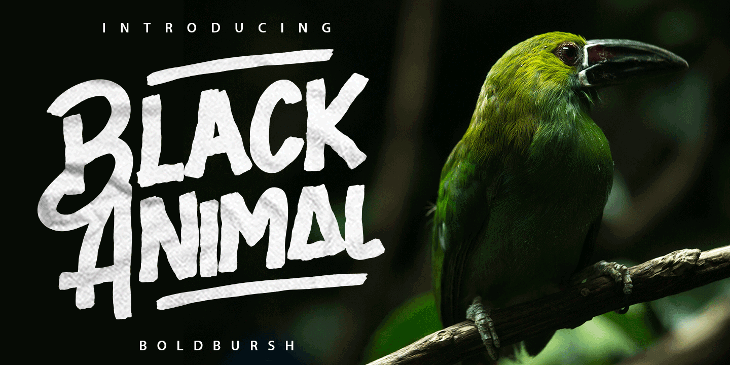 Пример шрифта Black Animal #1