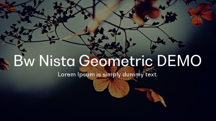 Пример шрифта Bw Nista Geometric #1