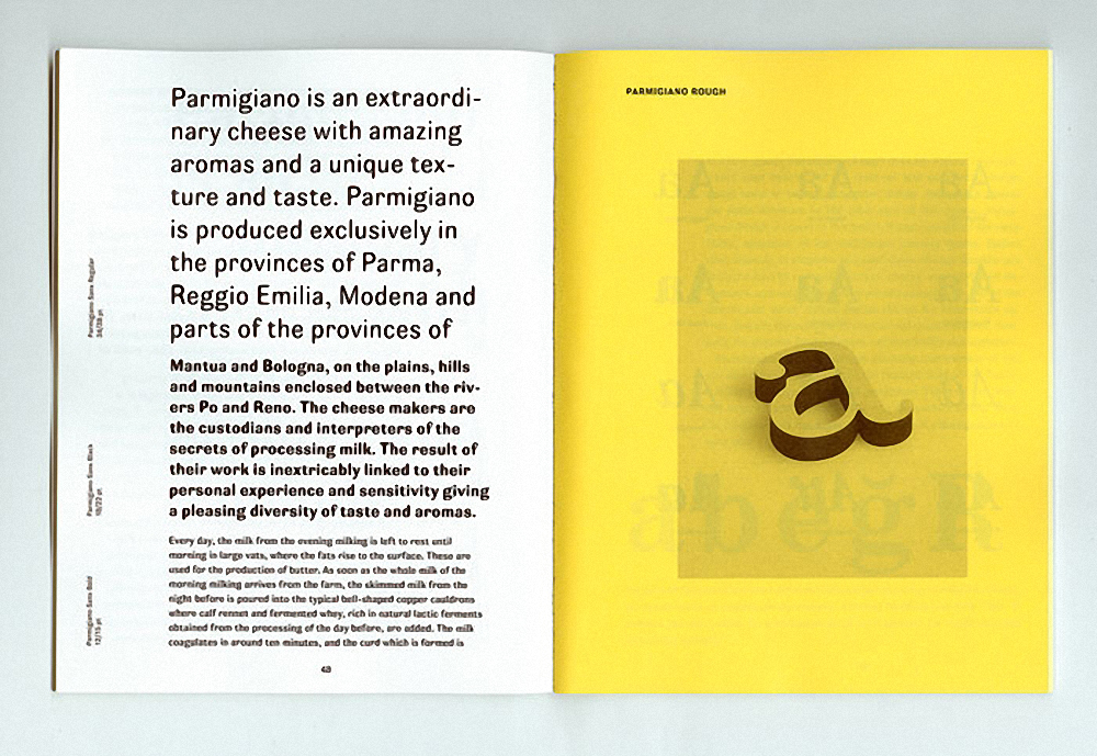 Пример шрифта Parmigiano Text Pro #3