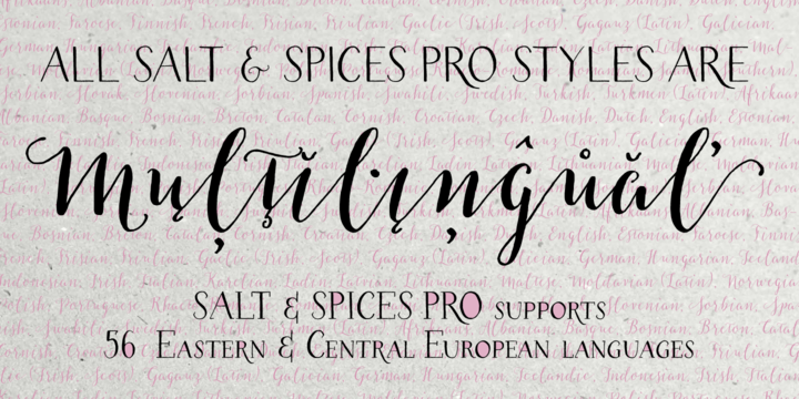 Пример шрифта Salt & Spices Pro #3