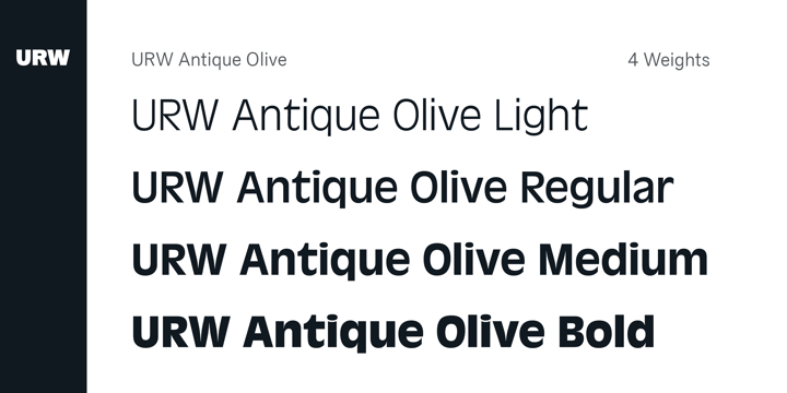 Пример шрифта Antique Olive #3