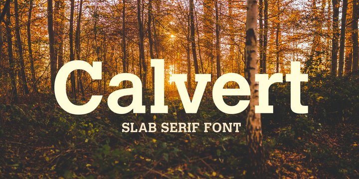 Пример шрифта Calvert #1