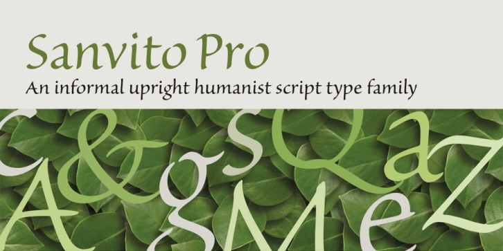 Пример шрифта Sanvito Pro #1
