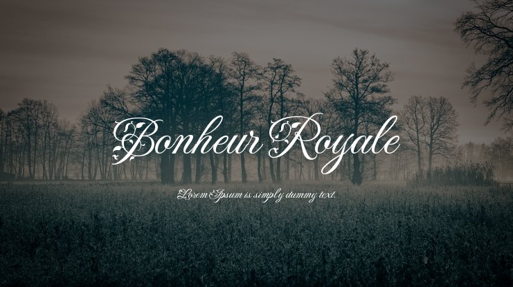 Пример шрифта Bonheur Royale #1