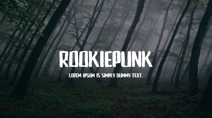 Пример шрифта Rookie Punk #1