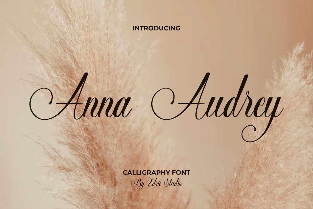 Пример шрифта Anna Audrey #1