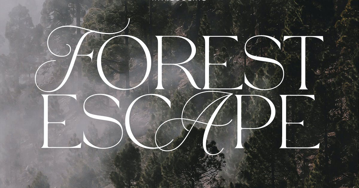 Пример шрифта Forest Escape #1