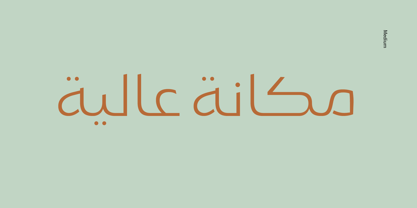 Пример шрифта Gamila Arabic W05 #2
