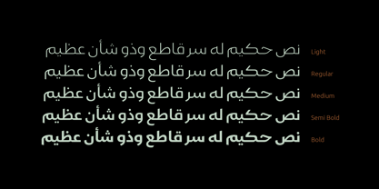 Пример шрифта Gamila Arabic W05 #3