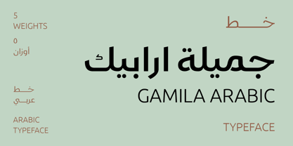 Пример шрифта Gamila Arabic W05 #1