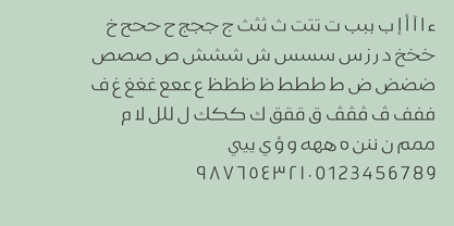 Пример шрифта Gamila Arabic W05 #5