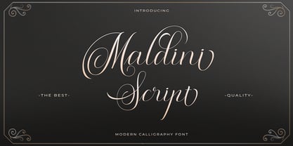 Пример шрифта Maldini Script #1