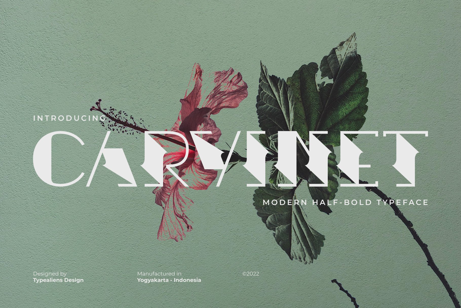 Пример шрифта Carvinet #1