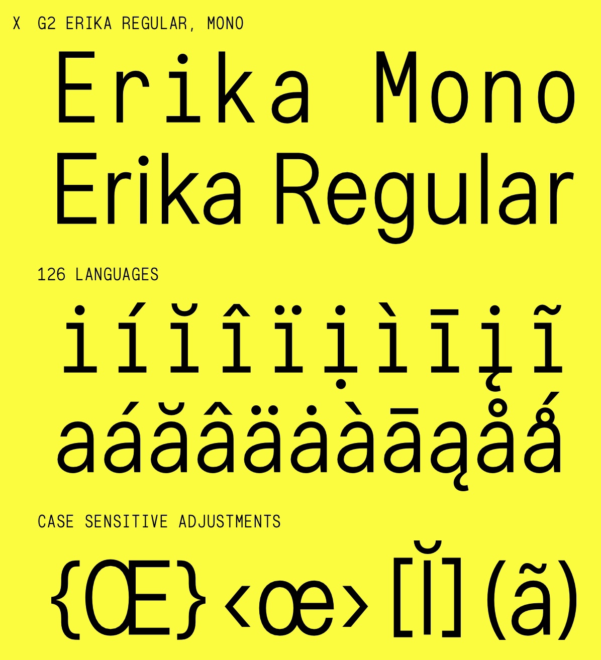 Пример шрифта G2 Erika #1