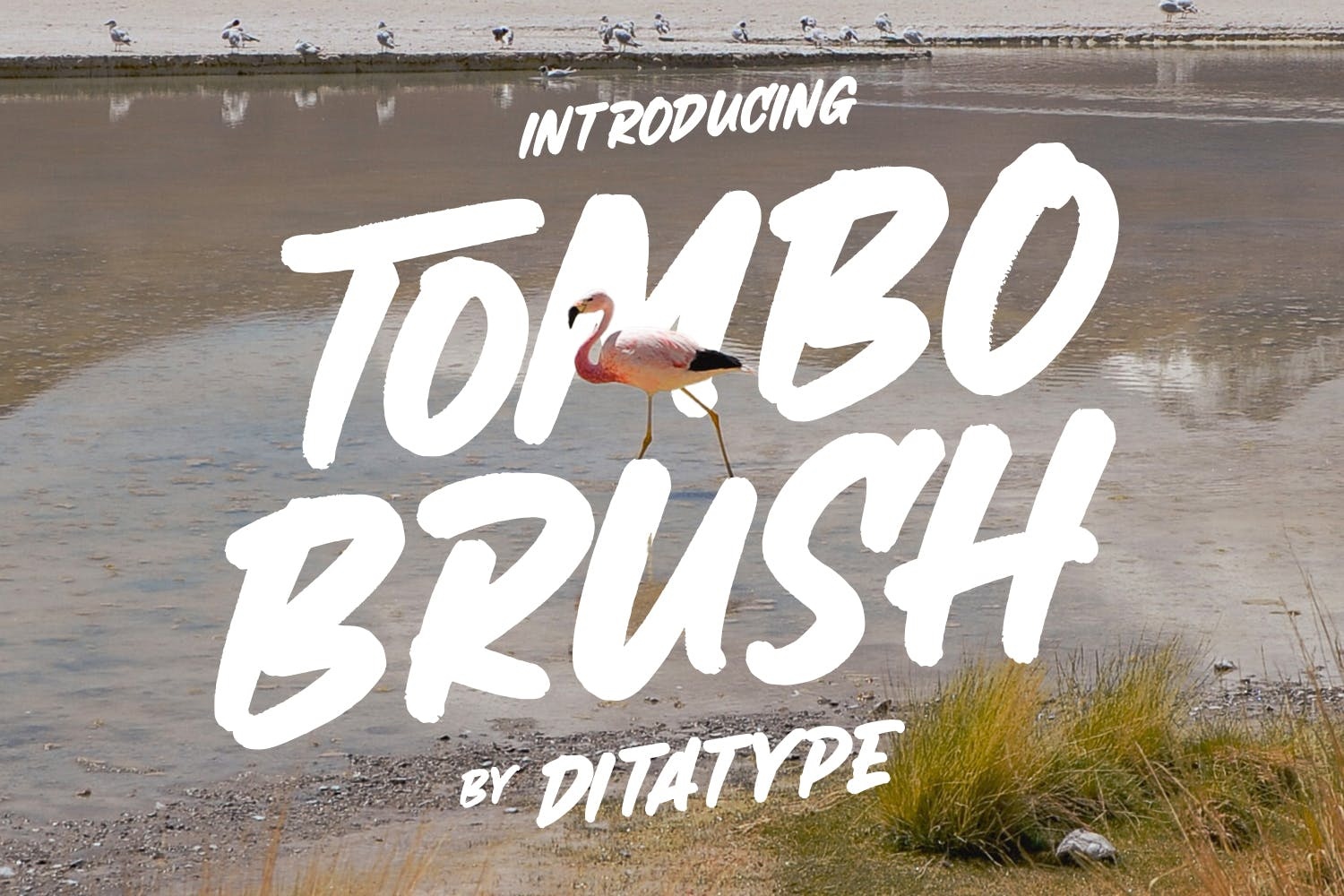 Пример шрифта Tombo Brush #1